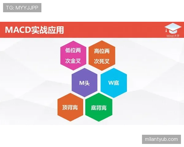 篮球防守站位规则：新手必看的基本要领与实战应用